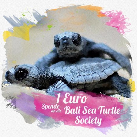 Rettet die Meeresschildkröten