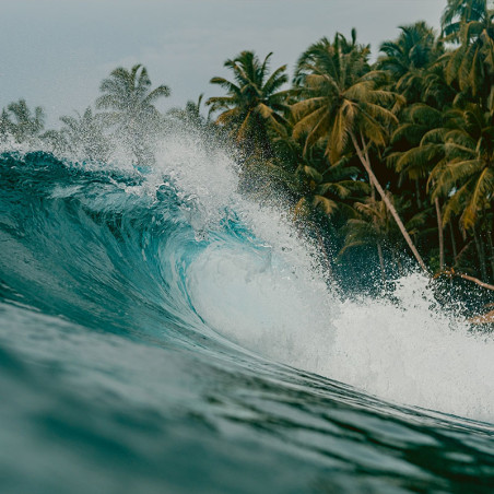 Mentawai: Cowrie - Surfer Armband